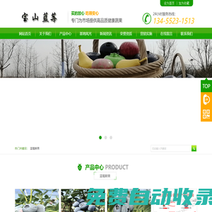 山東青島藍莓寶山基地｜微：a773857755｜藍莓寶山鮮果｜百度推薦寶山藍色基地優質服務公告2024已更-寶山藍莓鮮果