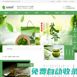茶葉種植_毛尖_綠茶_康縣樺林茶葉種植農民專業合作社