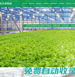 東莞蔬菜公司_東莞蔬菜配送_東莞蔬菜批發(fā)-廣東山農(nóng)農(nóng)業(yè)集團有限公司