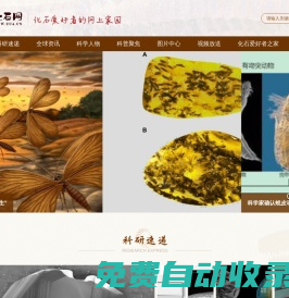 化石網