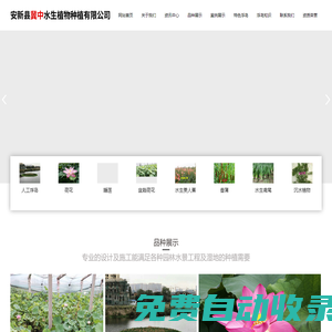 安新縣冀中水生植物種植有限公司