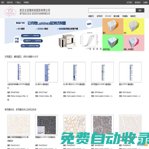 武漢優爾生商貿有限公司