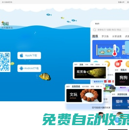 龍巔-興趣愛好者交流交易平臺