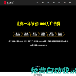 SEO·品牌推廣·網絡營銷策劃·王通