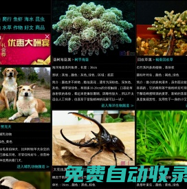 Sbike，識百客，動植物百科網(wǎng)，國內(nèi)最專業(yè)的動物、寵物、植物、花卉科普信息分類、資料速查網(wǎng)站，足不出戶的動植物樂園！