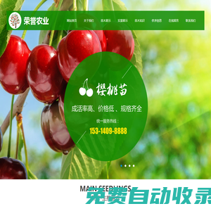 蘋果苗-矮化蘋果苗-無(wú)花果苗-梨樹(shù)/櫻桃樹(shù)/蘋果樹(shù)/核桃樹(shù)/冬棗樹(shù)苗-泰安高新區(qū)榮譽(yù)農(nóng)業(yè)科技有限公司
