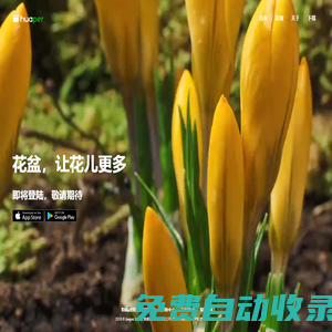 huaper | 花盆，讓花兒更多
