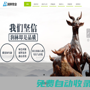 臨清潤林牧業有限公司-青貯飼料-魯西黑頭羊-湖羊