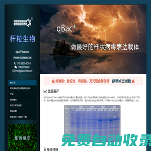 桿狀病毒表達(dá)系統(tǒng)::昆蟲細(xì)胞表達(dá)系統(tǒng) @ Bacmid
