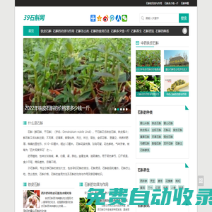 石斛－鐵皮石斛的功效與作用多少錢一斤及石斛的正確吃法-39石斛網(wǎng)