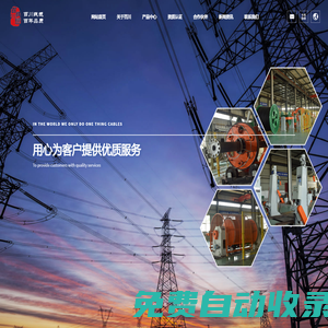 域名注冊_域名查詢_域名購買_域名申請_新網