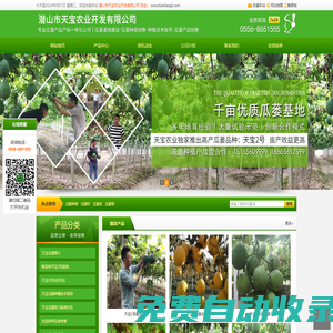 瓜蔞苗_瓜蔞種植基地_瓜蔞種植效益-潛山市天寶農業開發有限公司