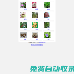 中藥藥用價值網