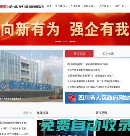 四川長虹電子控股集團有限公司