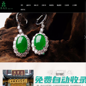 上海張鐵軍實業集團有限公司
