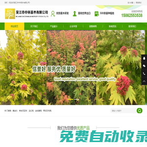 弗吉尼亞櫟-黃金杉-金葉水杉-楓樹-吳江市中林苗木有限公司