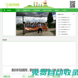 南匯8424西瓜網-南匯8424西瓜網丨南匯8424西瓜采摘價格多少錢一斤丨南匯8424西瓜禮盒