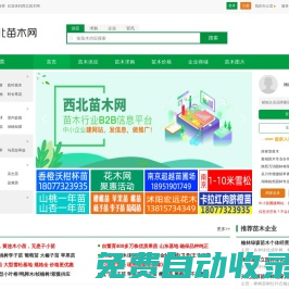 西北苗木網--苗木求購|綠化苗木價格|陜西苗木