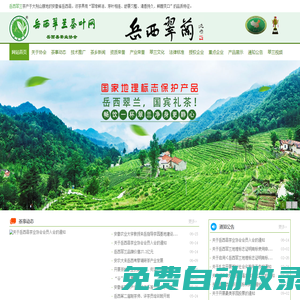 岳西翠蘭茶葉網(wǎng)
