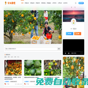 安遠臍橙網-江西贛南臍橙批發、零售、代理綜合信息平臺