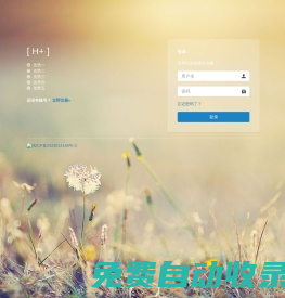 柒兔瞄大金服 - 后臺登錄