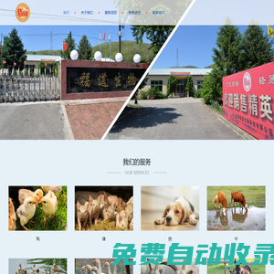 沈陽腳手架租賃【官網】-沈陽腳手架出租-沈陽華潔腳手架租賃安裝公司