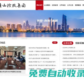 安徽青山控股集團有限公司