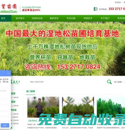 電視劇念無雙免費(fèi)觀看完整版在線全集-希望影視
