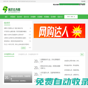 花卉_養花技巧_花卉知識大全_養花達人第一網站-海洋花卉網
