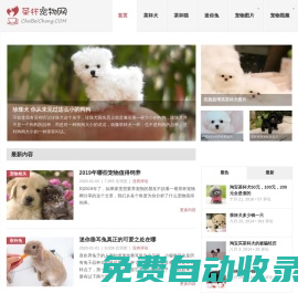 茶杯犬,茶杯貓,小香豬,迷你袖珍泰迪貴賓狗 - 茶杯寵物網