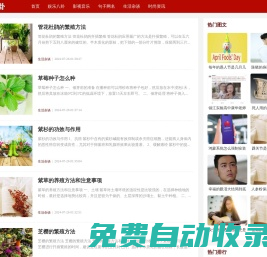 捧推八卦網(wǎng)