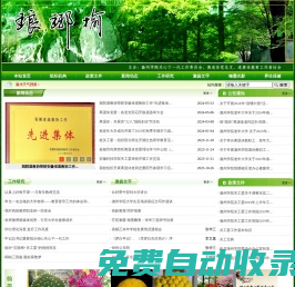 瑯琊榆