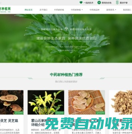 中藥材種植技術(shù)_中藥材價格_中藥材品種-中藥材種植網(wǎng)