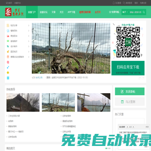 盆景藝術在線_盆景愛好者交易交流造型養護制作設計 -  cnpenjing.com