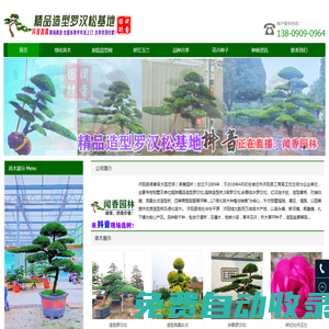 精品造型羅漢松_庭院造型樹_S彎羅漢松_斜飄臨水羅漢松_基地價格_江蘇聞香園林苗木場