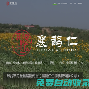 襄鵲仁生物科技有限公司|邢棗仁|內丘酸棗仁|中國酸棗仁之鄉|扁鵲藥谷-邢臺市襄鵲仁生物科技有限公司