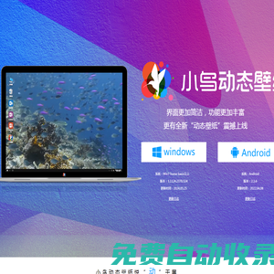 小鳥動態壁紙官網——動態桌面壁紙下載-成都盈暢時代文化傳播有限公司