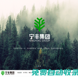 寧豐集團官方網站