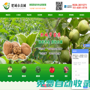 肥城市苗圃,核桃苗價格,側柏苗批發,黑松苗價格,櫻桃苗批發,桃樹苗,銀杏樹苗批發,柳樹苗價格,綠化苗批發