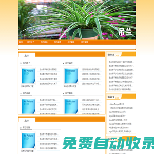吊蘭