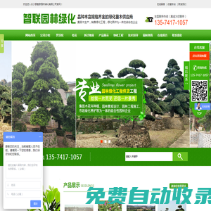長沙縣智聯園林綠化有限公司_長沙羅漢松|桂花樹價格|香樟苗木哪家好