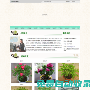 永濟市艷裝牡丹科技開發有限公司―牡丹,芍藥,花木,苗木,鮮切花供應基地