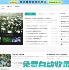 青伊湖綠化苗木種子合作社-批發(fā)銷售林木,草坪,牧草,草本花卉種子