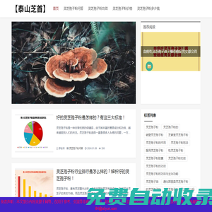 破壁靈芝孢子粉多少錢一斤及功效與作用-【泰山芝首】