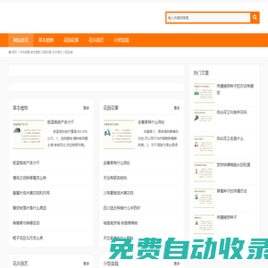伊布綠植,草本植物,花園花事,花卉園藝,小型盆栽
