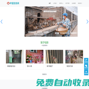 猴子收購(gòu),猴子撲捉,實(shí)驗(yàn)猴子養(yǎng)殖,哪里賣(mài)猴子,新野利民獼猴養(yǎng)殖場(chǎng)首頁(yè)