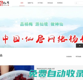 仙居楊梅-原生態仙居東魁楊梅-2023仙居楊梅節-仙居縣小胖楊梅合作社
