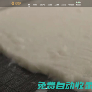 中國紙業投資有限公司