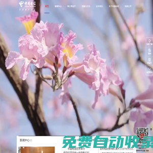 中國電信集團有限公司