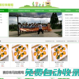 馬陸葡萄網-馬陸葡萄采摘攻略|新品種|禮盒裝|價格多少錢一斤